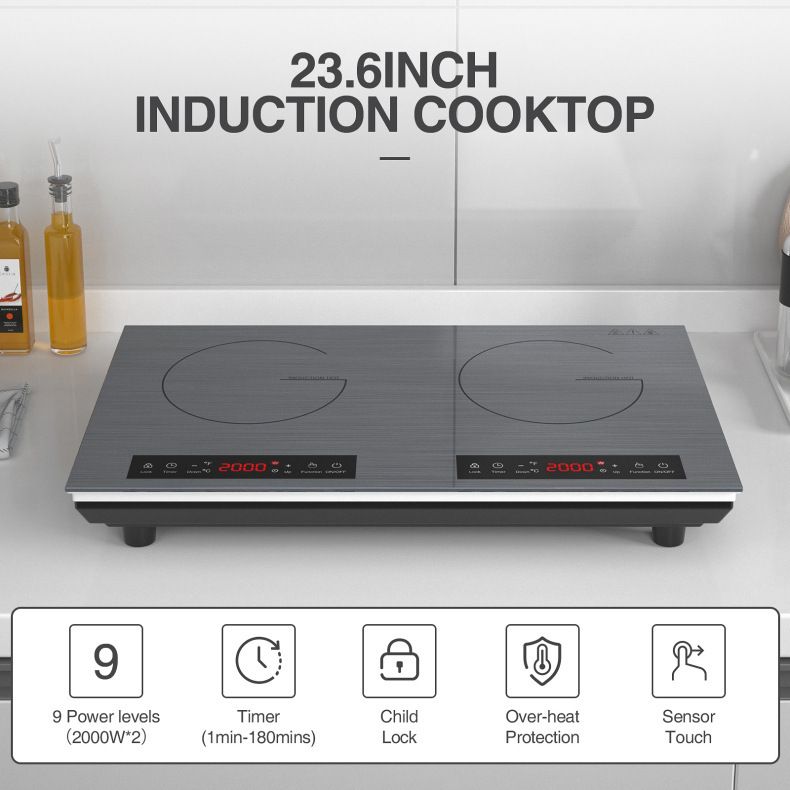 듀얼 버너 인덕션 쿡탑, 110V 더블 핫 플레이트,  - Commercial Kitchen Zones 리뷰 및 가격